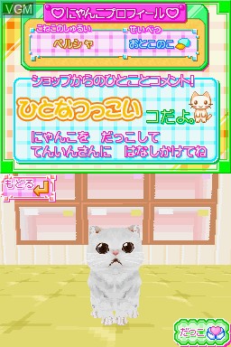 Image in-game du jeu Kawaii Koneko DS sur Nintendo DS