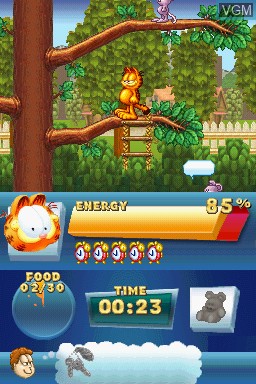 Image in-game du jeu Garfield's Fun Fest sur Nintendo DS