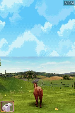 Image in-game du jeu Ellen Whitaker's Horse Life sur Nintendo DS