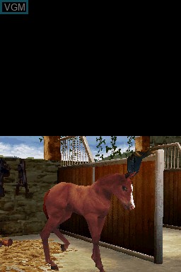 Image in-game du jeu Horse Life Adventures sur Nintendo DS