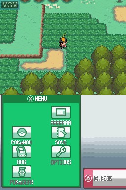 Image in-game du jeu Pokemon SoulSilver Version sur Nintendo DS