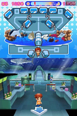 Image in-game du jeu Minna no Suizokukan sur Nintendo DS