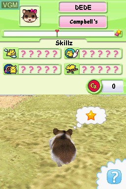 Image in-game du jeu Petz - Hamster Superstar sur Nintendo DS