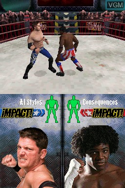 Image in-game du jeu TNA Impact - Cross the Line sur Nintendo DS