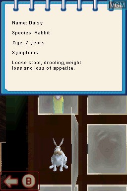 Image in-game du jeu Pet Pals - New Leash on Life sur Nintendo DS