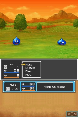 Image in-game du jeu Dragon Quest IX - Sentinels of the Starry Skies sur Nintendo DS