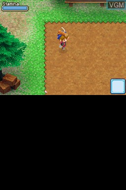 Image in-game du jeu Harvest Moon DS - Grand Bazaar sur Nintendo DS