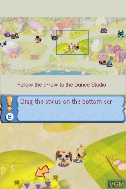 Image in-game du jeu Littlest Pet Shop 3 - Blue Team sur Nintendo DS