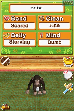 Image in-game du jeu My Pet Chimp sur Nintendo DS