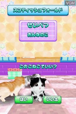 Image in-game du jeu Kawaii Koneko DS 3 sur Nintendo DS