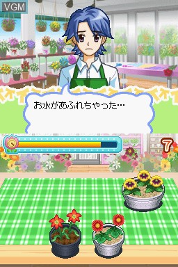Image in-game du jeu Akogare Girls Collection - Ohanaya-San Monogatari sur Nintendo DS