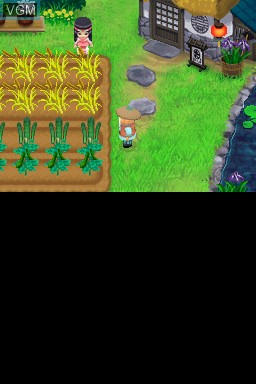 Image in-game du jeu Harvest Moon DS - The Tale of Two Towns sur Nintendo DS