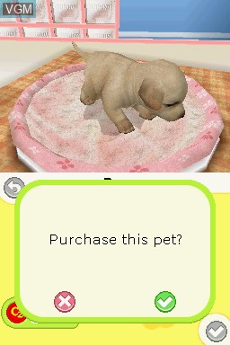 Image in-game du jeu Petz - Puppyz & Kittenz sur Nintendo DS