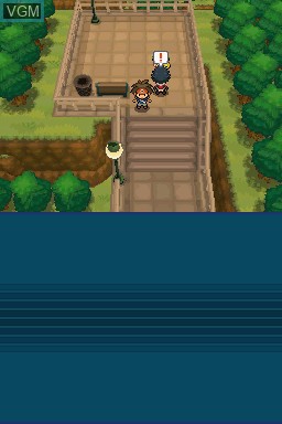 Image in-game du jeu Pokemon Black Version 2 sur Nintendo DS