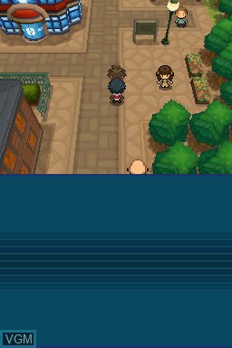 Image in-game du jeu Pokemon White Version 2 sur Nintendo DS