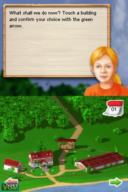 Image in-game du jeu Dreamer Series - Horse Trainer sur Nintendo DS
