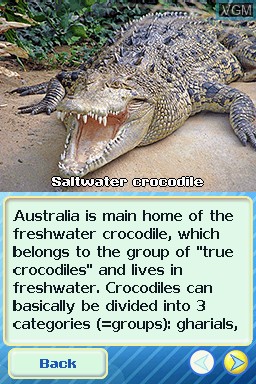 Image in-game du jeu Animal Life - Australia sur Nintendo DS