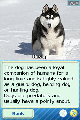 Image in-game du jeu Animal Life - North America sur Nintendo DS