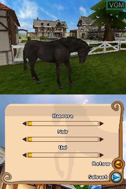 3 in 1 - My Riding Stables - Life with Horses + My Pet Hotel 2 & + My Pet School