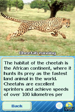 Image in-game du jeu Animal Life - Africa sur Nintendo DS