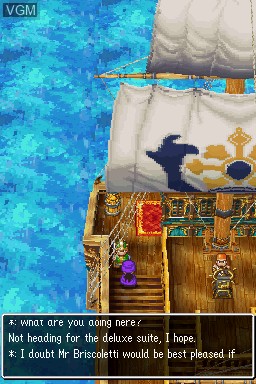Image in-game du jeu Dragon Quest - The Hand of the Heavenly Bride sur Nintendo DS