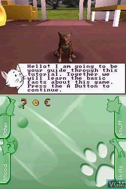 Image in-game du jeu Discovery Kids - Kitten Corner sur Nintendo DS