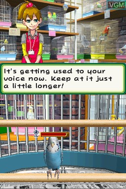Image in-game du jeu Discovery Kids - Parrot Pals sur Nintendo DS