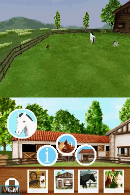 Image in-game du jeu Discovery Kids - Pony Paradise sur Nintendo DS