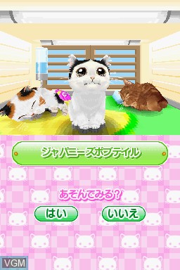 Image in-game du jeu Kawaii Koneko DS 2 sur Nintendo DS