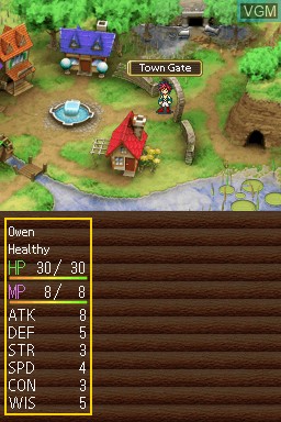 Image in-game du jeu Master of the Monster Lair sur Nintendo DS
