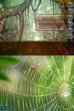 My Dangerous Pet Spider