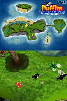 Image in-game du jeu Puffins - Island Adventure sur Nintendo DS
