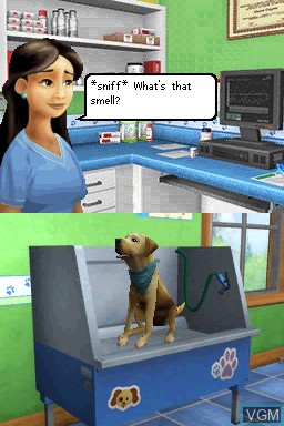 Image in-game du jeu Animal Planet - Vet Life sur Nintendo DS