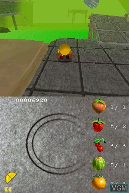 Image in-game du jeu Pac-Man World 3 sur Nintendo DS