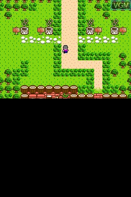Image in-game du jeu Noroi no Game - Chi sur Nintendo DSi