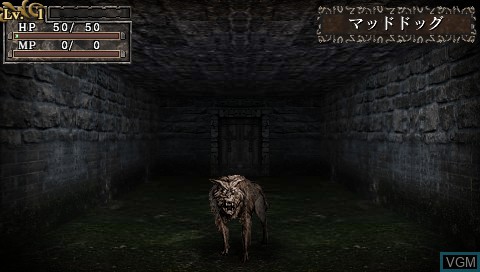 Image in-game du jeu King's Field - Additional I sur Sony PSP