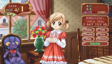 Image in-game du jeu Princess Maker 4 Portable sur Sony PSP
