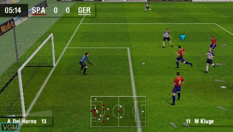 Image in-game du jeu World Tour Soccer sur Sony PSP
