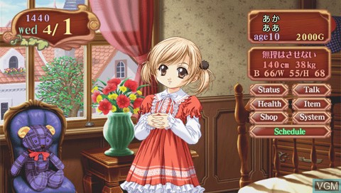 Image in-game du jeu Princess Maker Portable Pack sur Sony PSP