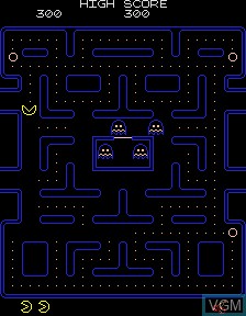 Image in-game du jeu Vector Pacman 2000 sur PacMAME