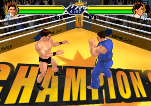 Image in-game du jeu World Fighting sur Sony Playstation 2