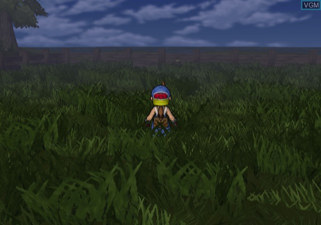 Image in-game du jeu Harvest Moon - Save the Homeland sur Sony Playstation 2