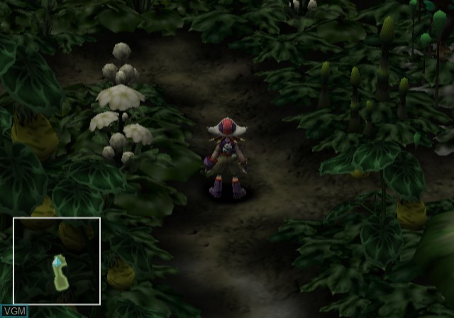 Image in-game du jeu Tamamayu Monogatari 2 sur Sony Playstation 2