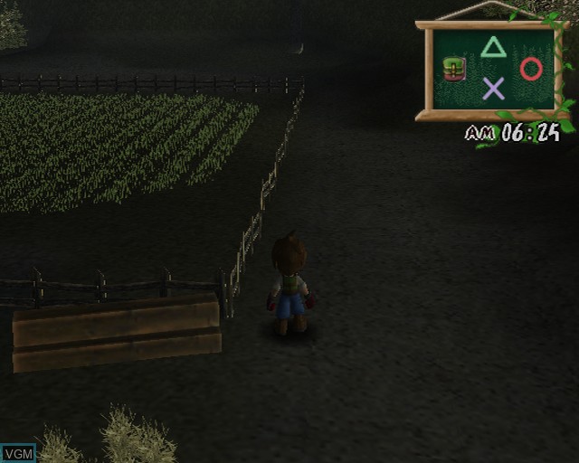 Image in-game du jeu Harvest Moon - A Wonderful Life Special Edition sur Sony Playstation 2