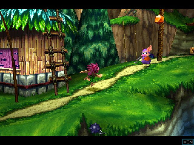 Image in-game du jeu Tomba! 2 - The Evil Swine Return sur Sony Playstation