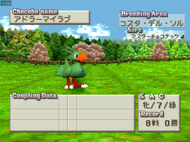 Image in-game du jeu Chocobo Stallion sur Sony Playstation