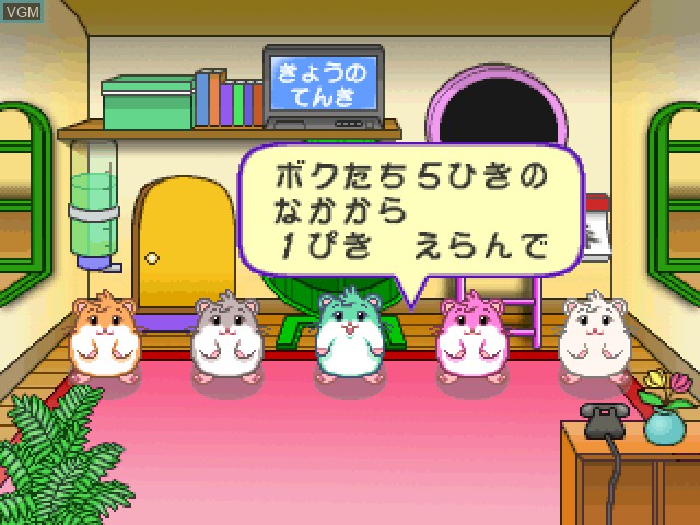 Image in-game du jeu Hamster no Odekake sur Sony Playstation