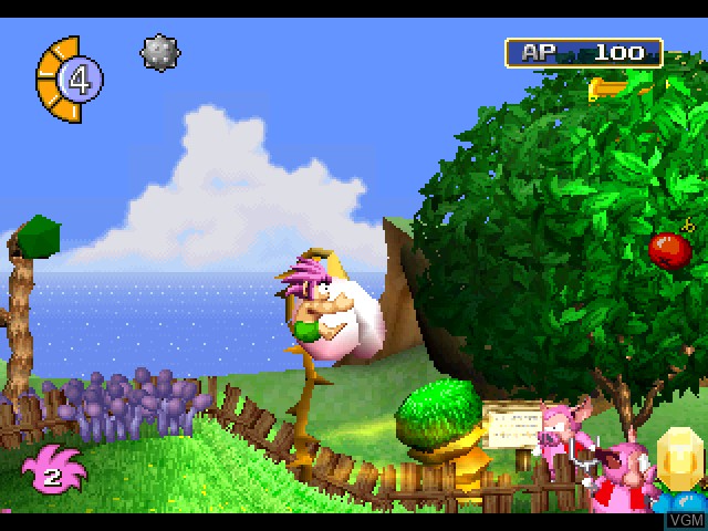 Image in-game du jeu Tomba! sur Sony Playstation