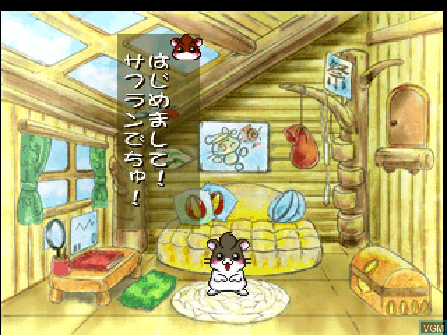 Image in-game du jeu Dokodemo Hamster B! Quick Club sur Sony Playstation