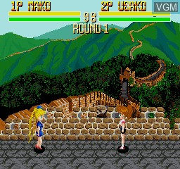 Image in-game du jeu Lady Fighter sur Sharp X68000